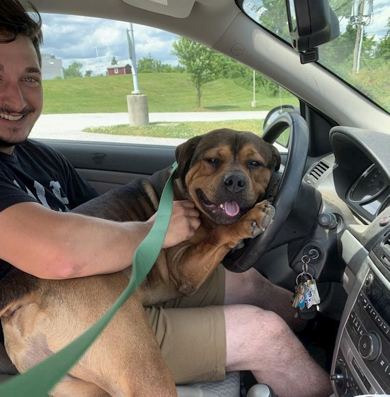 Na putu kući iz prihvatilišta