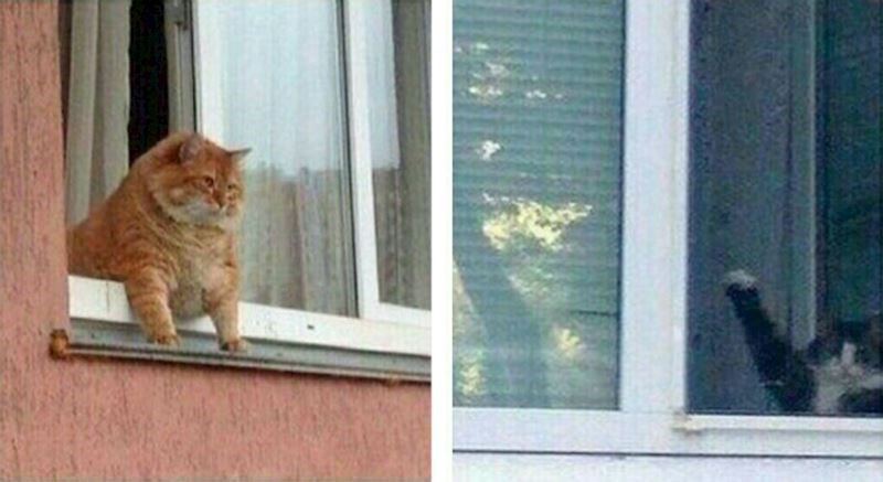 Kad se dva vozača autobusa mimoiđu na cesti