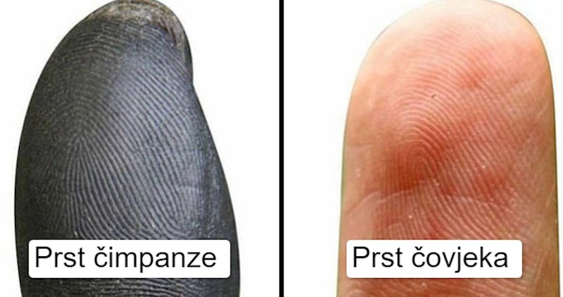 15 super-zanimljivih fotki nakon kojih ćete dobiti sasvim novu perspektivu