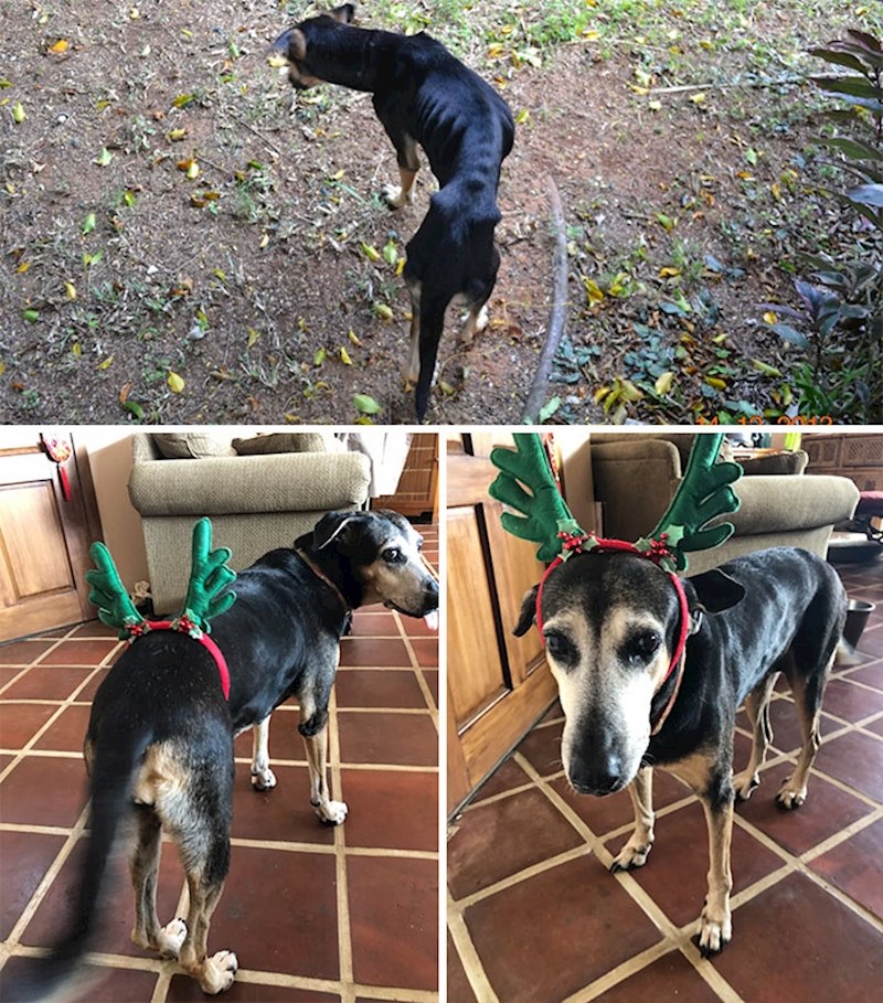 Osam godina napretka