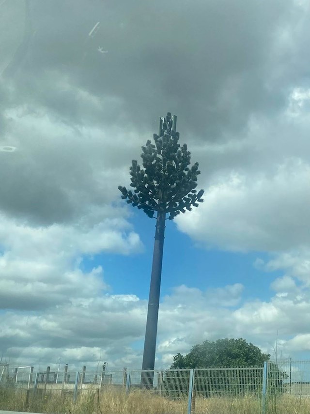 U Portugalu su tornjevi s odašiljačima zamaskirani u stabla
