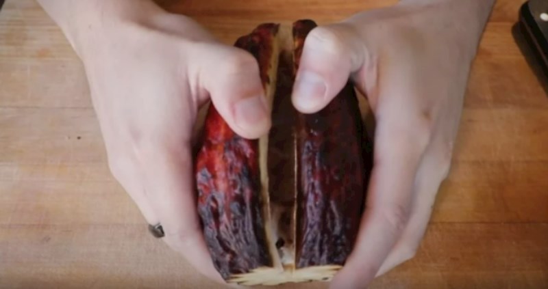 Internet luduje zbog videa koji prikazuje od čega nastaje čokolada, pogledajte ga