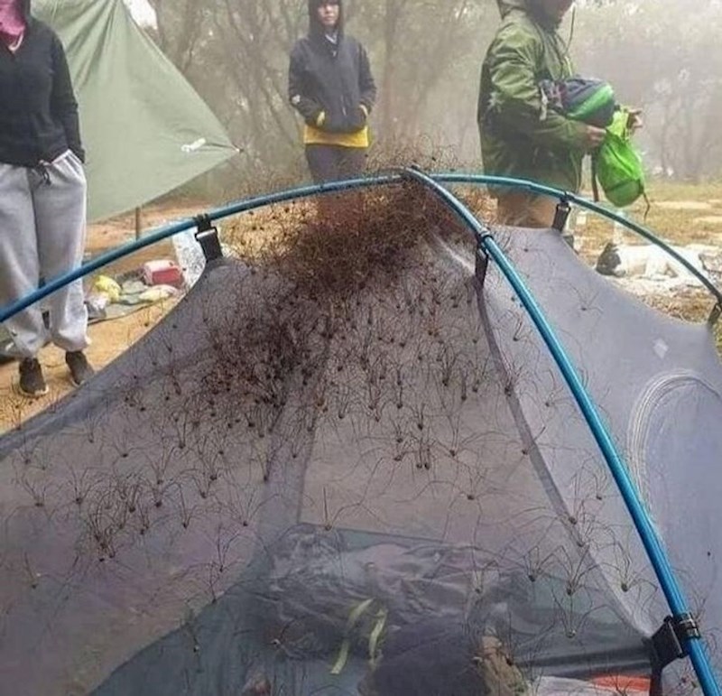 Otišli su kampirati i ujutro zatekli ovaj prizor