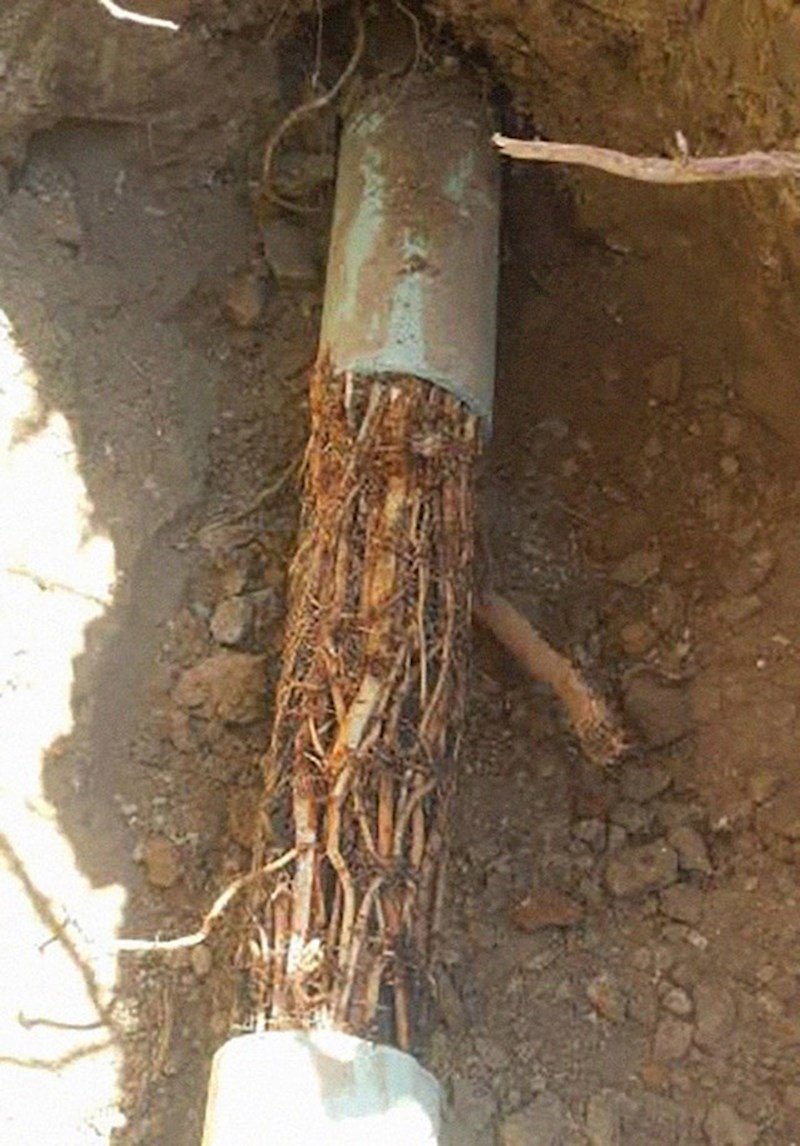 "Pitali su se zbog čega im je odvod začepljen."