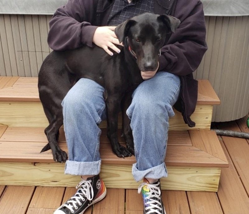 Zvala sam tatu neku večer sva uplakana, a njegov pas je čuo moj glas kroz mobitel i počeo lizati mobitel sa željom da me utješi."