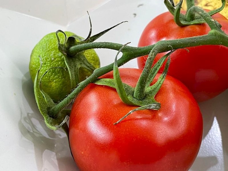 Izgleda kao da se nešto dogodilo rajčici, a zapravo je to limeta