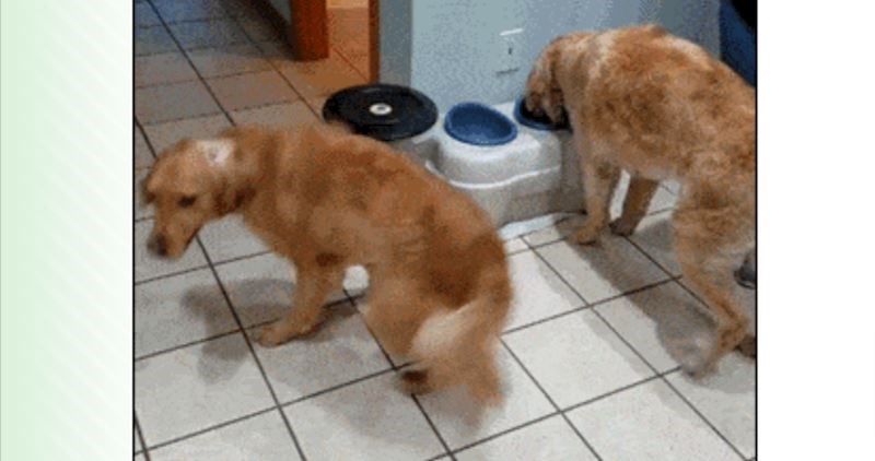 Postoje dvije vrste ljudi dok čekaju hranu