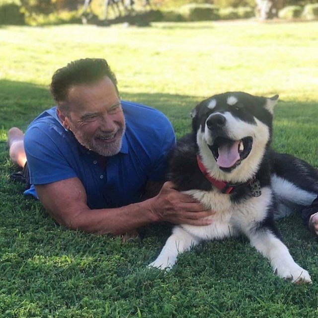 16. Arnold Schwarzenegger