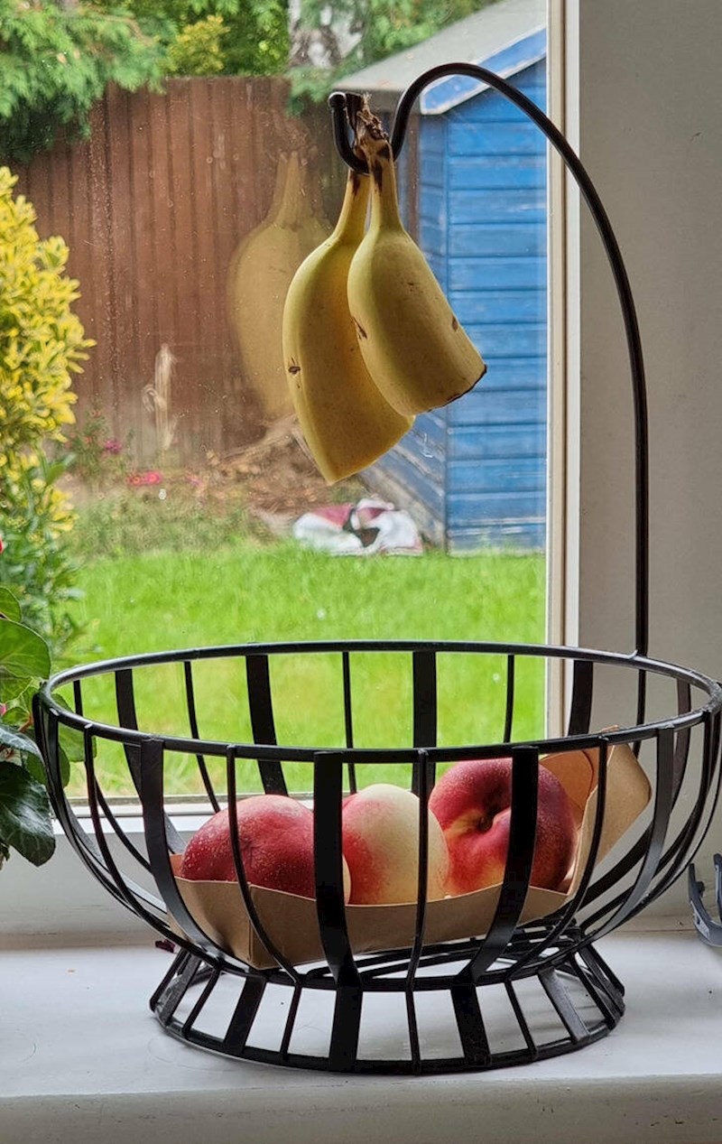 Ovako moja žena drži zdjelu s povrćem