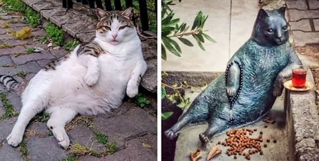 Tombili je ulična mačka koja je danima zamišljeno sjedila naslonjena šapom na pločnik. Mačka je uginula 2016. godine, a stanovnici grada postavili su spomenik u sjećanje na njega.