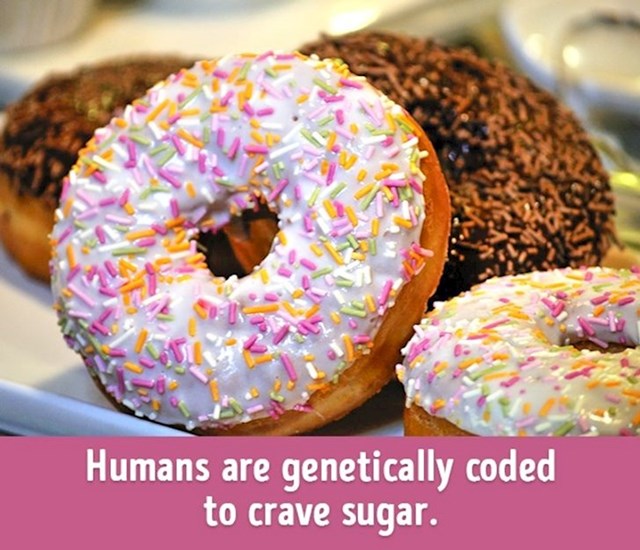 Ljudi su genetski ustrojeni da žude za šećerom