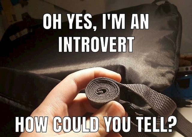 Izgleda da svi introverti rade ovu stvar