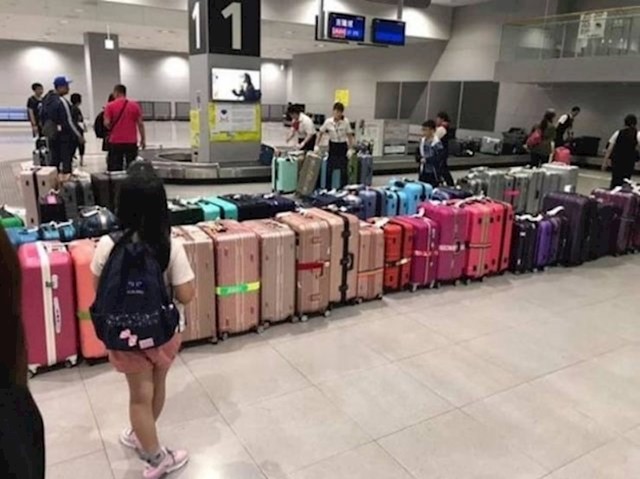 Mnoge japanske zračne luke razvrstaju prtljagu po bojama kako bi putnici lakše našli svoje kofere.