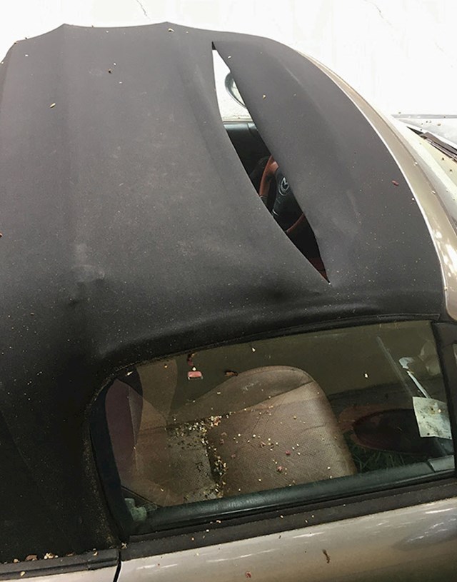 Netko mi je rasparao krov na autu, a onda je počela kiša, a sat vremena nakon toga sam dobio otkaz jer saam stavio previše začina na pizzu