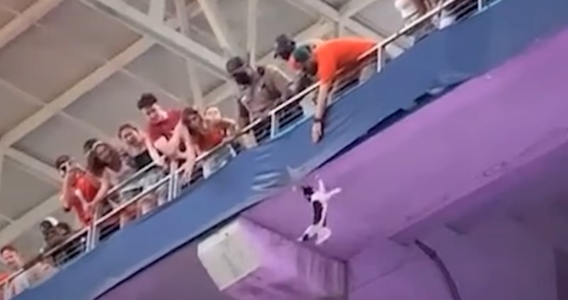 Nevjerojatan video: Mačka je zapela na tribini stadiona, morate vidjeti kraj videa