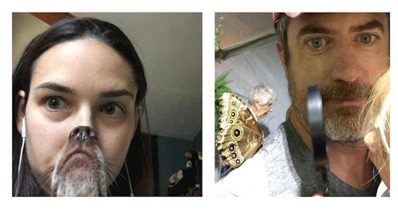 Tajming je sve! 19 fotografija uhvaćenih u pravom trenutku