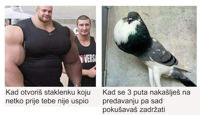 19 fotki u kojima će se svi prepoznati