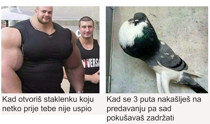 19 fotki u kojima će se svi prepoznati