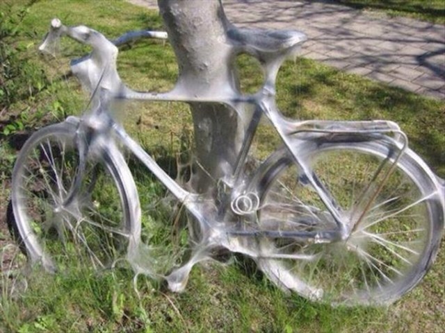 Pauci su odlučili da je ovo sad njihov bicikl