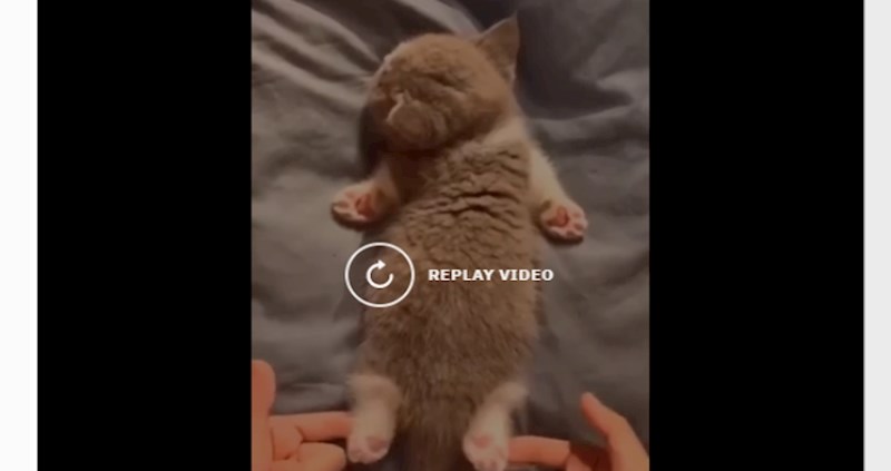 Najslađi video koji ćete danas vidjeti, obećavamo!