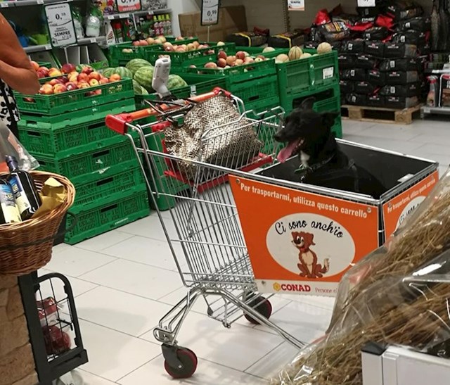''Ovaj supermarket u Italiji ima shopping kolica u koja možete staviti svojeg psa.''