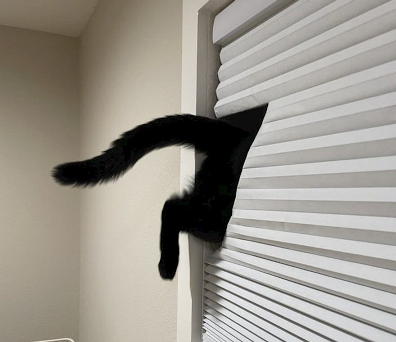 Ovo su nam novi zastori