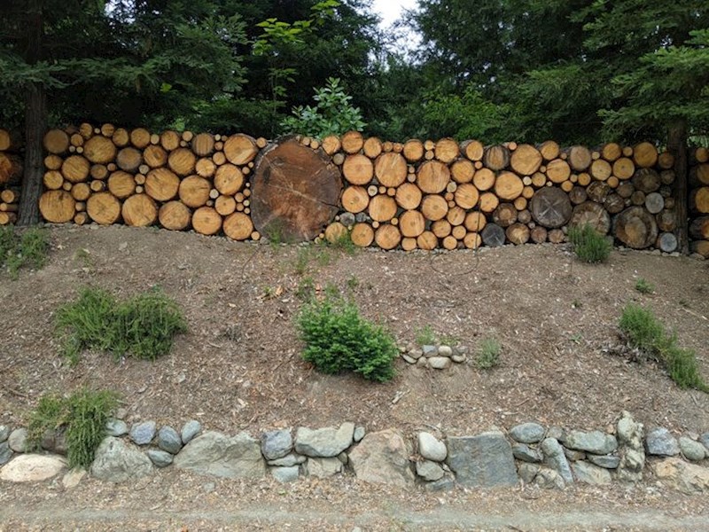 Napravili su ogradu od drveća