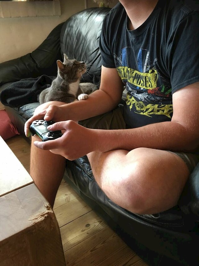 Želim svakome da ima nekoga da ga gleda kao što moja maca gleda mog dečka