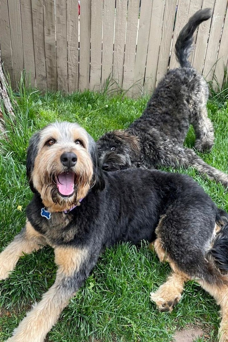 Oni koji znaju pozirati i oni koji uvijek upropaste fotku