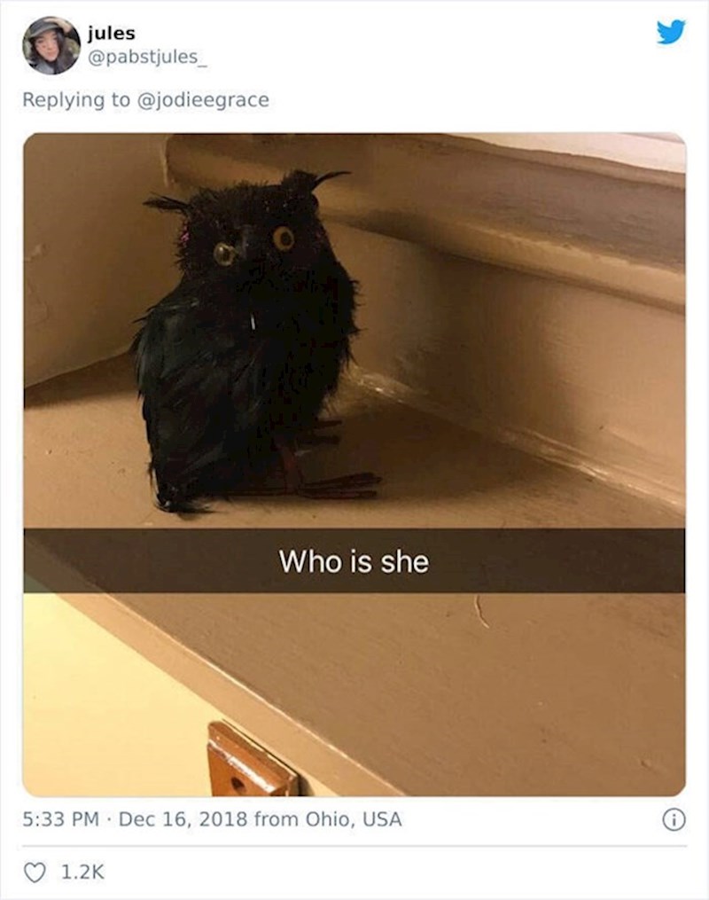 Izgleda tako stvarno