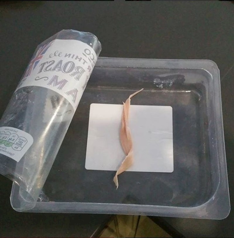 Ostavio mi je komad šunke u frižideru da mogu napraviti sendvič