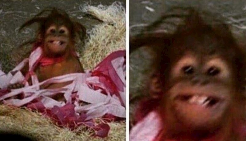 Kad provedeš noć kod njega i ujutro ti kaže: dobro jutro, ljepotice!