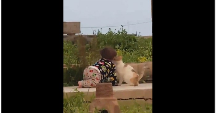 Nisu samo psi čuvari, morate vidjeti ovu macu zaštitnicu