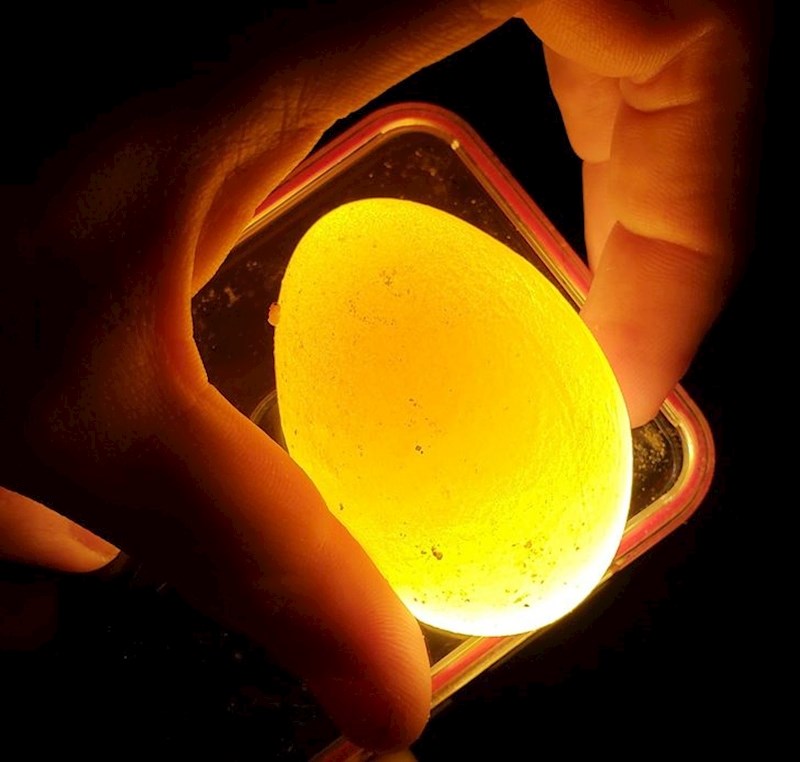 Koka je snijela jaje bez ljuske