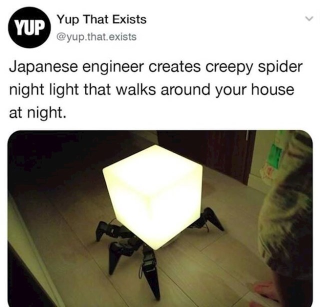 Lampa pauk koja hoda po kući