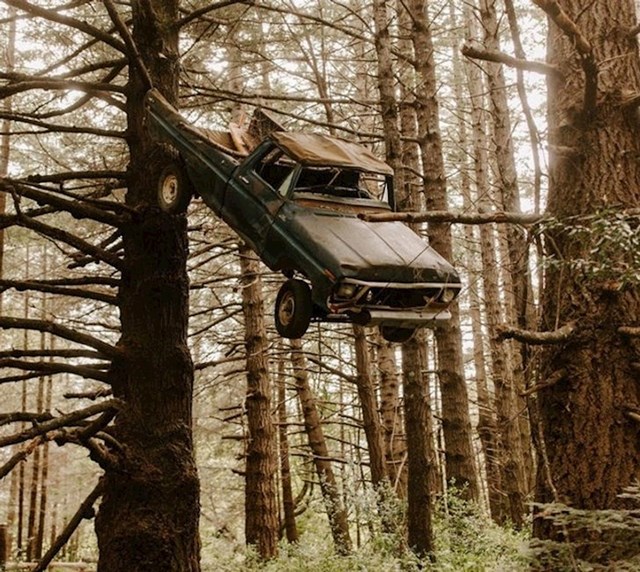 Auto na koje je autor fotke naletio dok se vozio kroz šumu