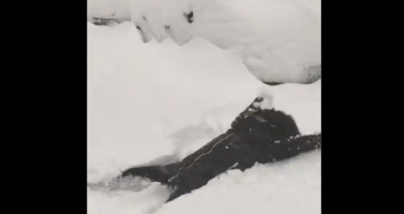 U Madridu je pao nezapamćen snijeg, fotke i snimke su nestvarne