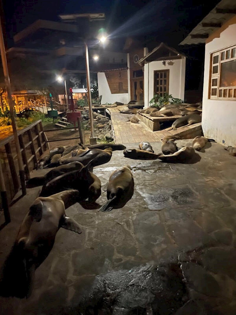 Ovo je jedini put do kuće