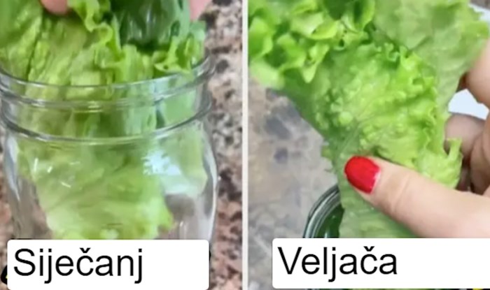 Na TikToku podijelila trik kako salata ostaje svježa mjesec dana, svi su u čudu