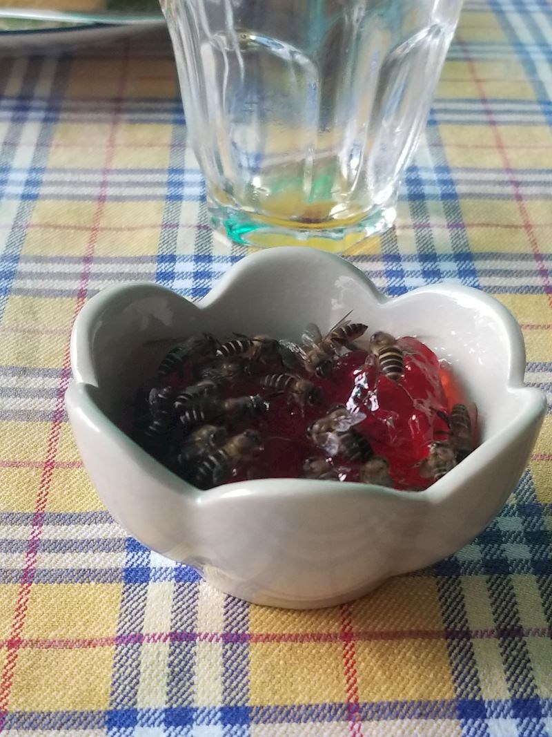 Pripremili su se za piknik