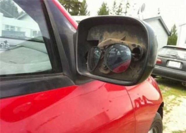 Nadamo se da je ovo rješenje samo do automehaničara