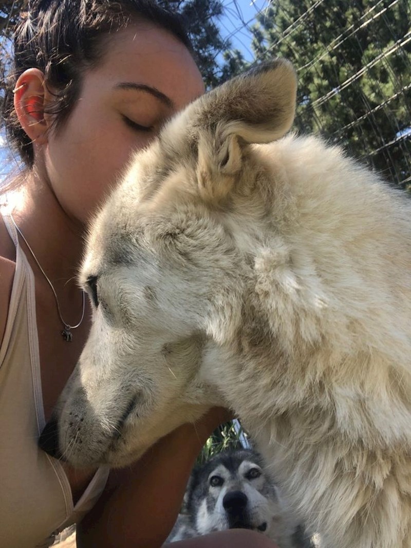 Ovako izgleda ljubomora