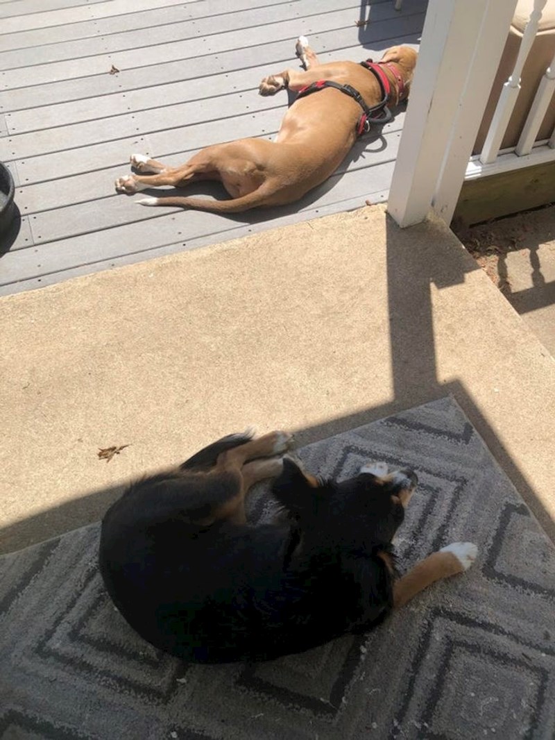 Oni koji vole ljeto i oni za koje su sunčeve zrake nepodnošljive