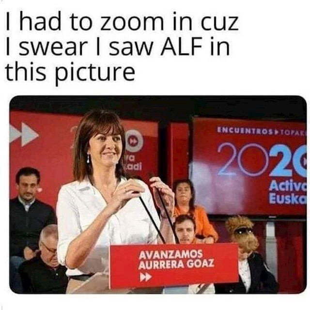 Ne, na fotki nema Alfa