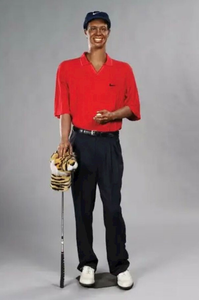 Tiger Woods
