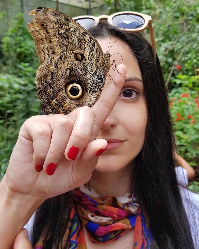 18. Jedinstveni leptir