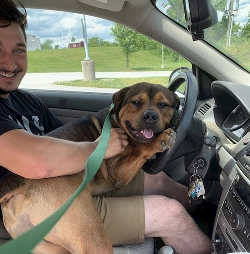 Na putu kući iz prihvatilišta