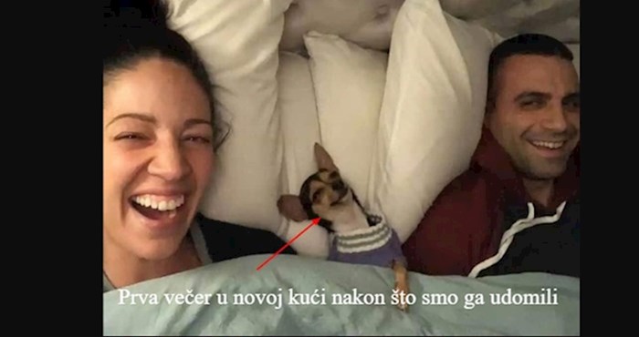 10 fotografija koje će vam apsolutno, bez ikakve dileme popraviti dan