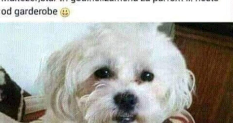 Oglas iz Srbije razbjesnio regiju: Ovo je nehumano i odvratno!