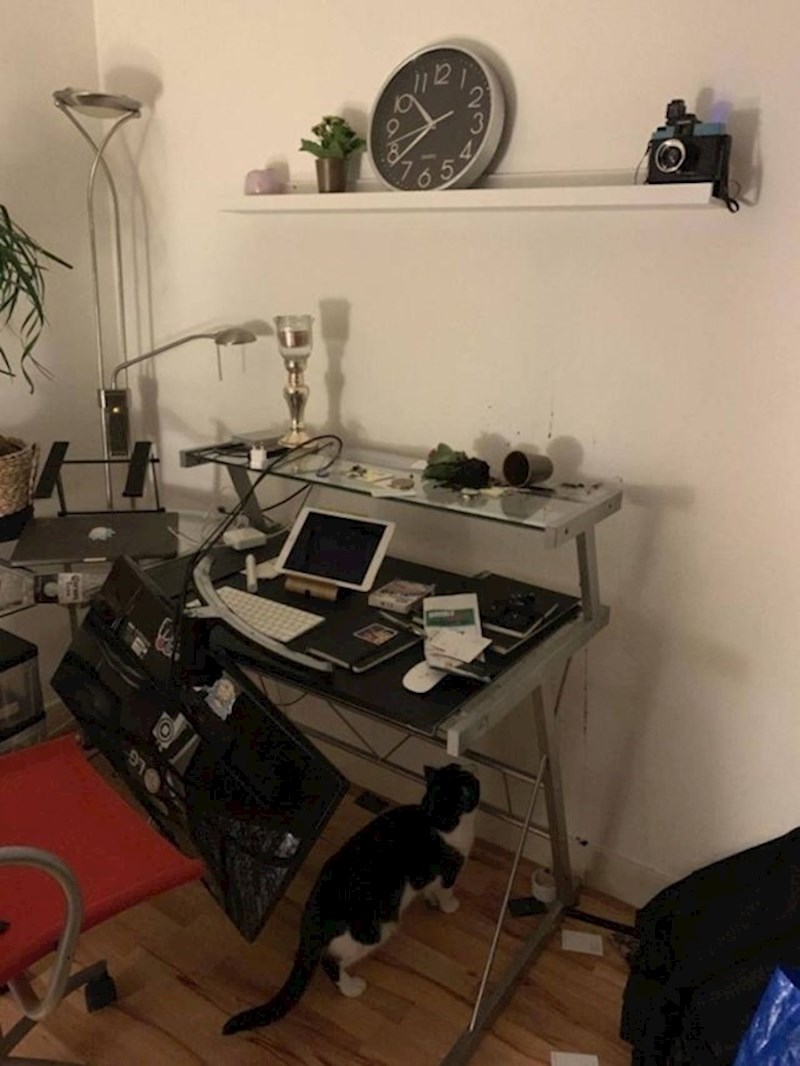 Ma ne, nije ona kriva. 😁